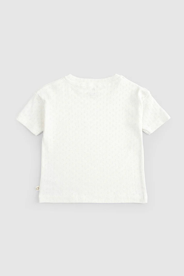 Organic Cotton Pointelle Baby Shorts Set - White