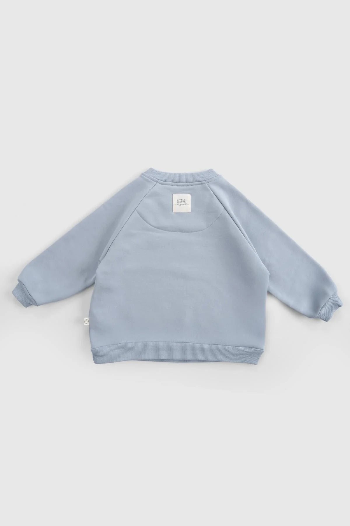 Back view of an organic cotton baby tracksuit top in blue, featuring a stylish design and quality fabric for comfort.