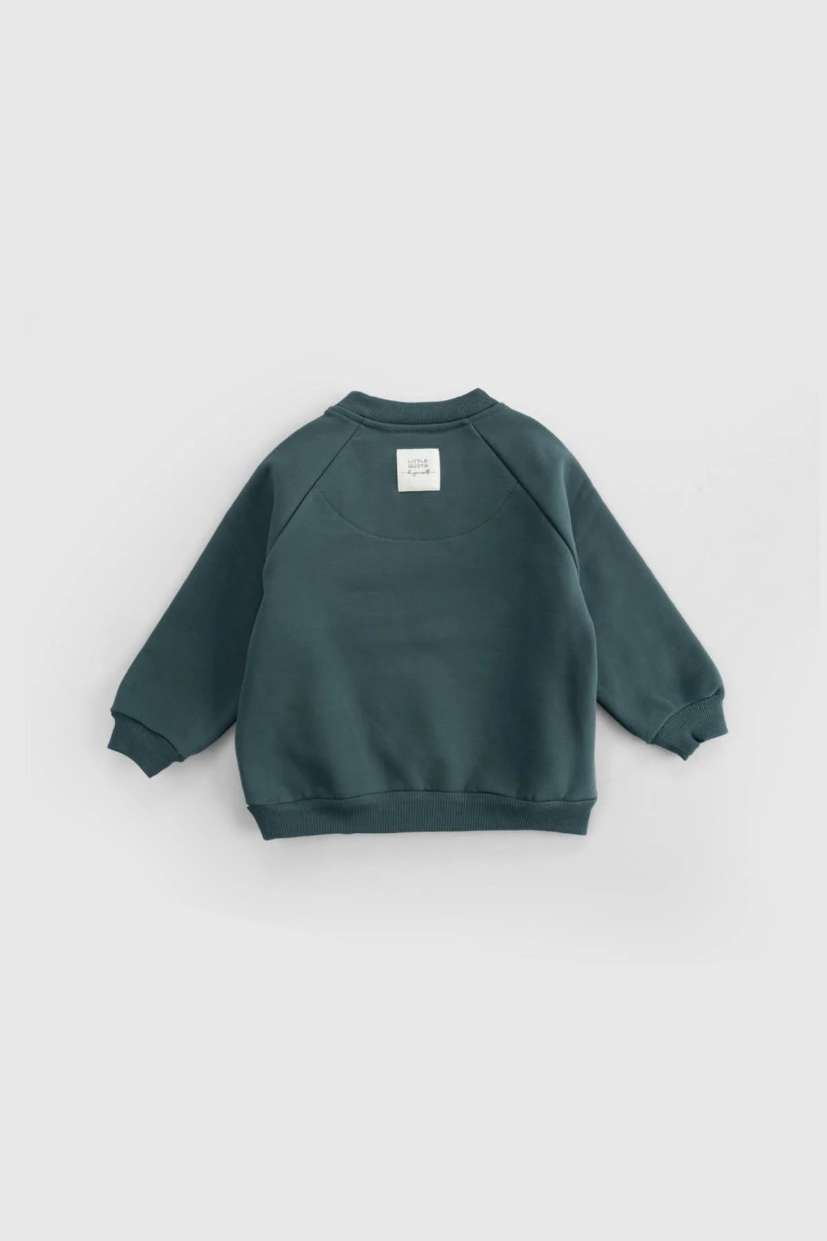 Back view of organic cotton baby tracksuit top in green, featuring raglan sleeves and a stylish label.