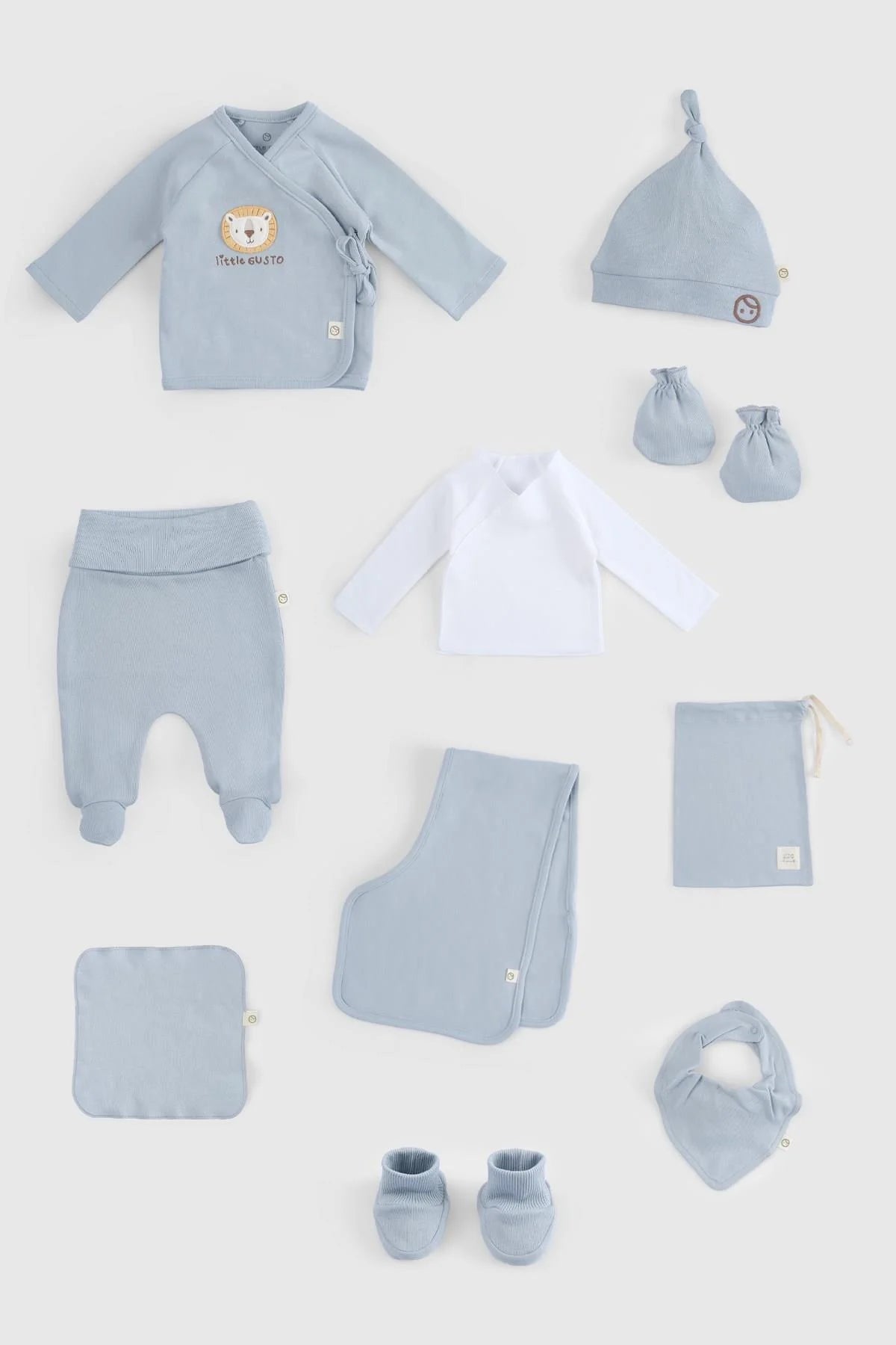 Organic Cotton Lion Newborn Set in Blue - 10 pieces including bodysuit, hat, booties, and more.